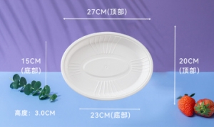 云南8寸椭圆注塑盘 10个/包x20包